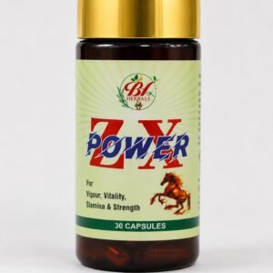 ZX Power